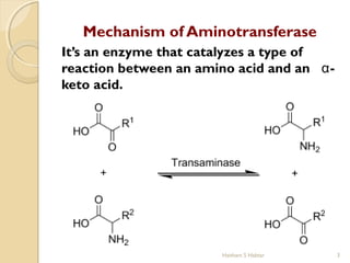 ELEVATED SERUM AMINOTRANSFERASES PPT