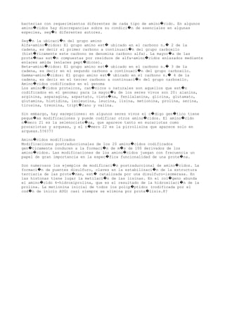 bacterias con requerimientos diferentes de cada tipo de amino cido. En algunos�
amino cidos hay discrepancias sobre su condici n de esenciales en algunas� �
especies, seg n diferentes autores.�
Seg n la ubicaci n del grupo amino� �
Alfa-amino cidos: El grupo amino est ubicado en el carbono n. 2 de la� � �
cadena, es decir el primer carbono a continuaci n del grupo carboxilo�
(hist ricamente este carbono se denomina carbono alfa). La mayor a de las� �
prote nas est n compuestas por residuos de alfa-amino cidos enlazados mediante� � �
enlaces amida (enlaces pept dicos).�
Beta-amino cidos: El grupo amino est ubicado en el carbono n. 3 de la� � �
cadena, es decir en el segundo carbono a continuaci n del grupo carboxilo.�
Gamma-amino cidos: El grupo amino est ubicado en el carbono n. 4 de la� � �
cadena, es decir en el tercer carbono a continuaci n del grupo carboxilo.�
Amino cidos codificados en el genoma�
Los amino cidos proteicos, can nicos o naturales son aquellos que est n� � �
codificados en el genoma; para la mayor a de los seres vivos son 20: alanina,�
arginina, asparagina, aspartato, ciste na, fenilalanina, glicina, glutamato,�
glutamina, histidina, isoleucina, leucina, lisina, metionina, prolina, serina,
tirosina, treonina, tript fano y valina.�
Sin embargo, hay excepciones: en algunos seres vivos el c digo gen tico tiene� �
peque as modificaciones y puede codificar otros amino cidos. El amino cido� � �
n mero 21 es la selenociste na, que aparece tanto en eucariotas como� �
procariotas y arqueas, y el n mero 22 es la pirrolisina que aparece solo en�
arqueas.5?6?7?
Amino cidos modificados�
Modificaciones postraduccionales de los 20 amino cidos codificados�
gen ticamente conducen a la formaci n de m s de 100 derivados de los� � �
amino cidos. Las modificaciones de los amino cidos juegan con frecuencia un� �
papel de gran importancia en la espec fica funcionalidad de una prote na.� �
Son numerosos los ejemplos de modificaci n postraduccional de amino cidos. La� �
formaci n de puentes disulfuro, claves en la estabilizaci n de la estructura� �
terciaria de las prote nas, est catalizada por una disulfuro-isomerasa. En� �
las histonas tiene lugar la metilaci n de las lisinas. En el col geno abunda� �
el amino cido 4-hidroxiprolina, que es el resultado de la hidroxilaci n de la� �
prolina. La metionina inicial de todos los polip ptidos (codificada por el�
cod n de inicio AUG) casi siempre se elimina por prote lisis.8?� �
 