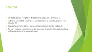 Efectos
 Mediados por sus receptores de adenosina acoplados a proteínas G.
 Activa la corriente K sensible a la acetilcolina en la aurícula, el seno y los
nódulos AV.
 Reduce la corriente de Ca = aumentar la refractariedad del nódulo AV
 Da por resultado = acortamiento del potencial de acción, hiperpolarización y
enlentecimiento de la automaticidad.
 