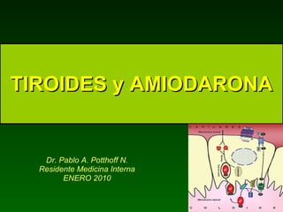 TIROIDES y AMIODARONA Dr. Pablo A. Potthoff N. Residente Medicina Interna ENERO 2010 