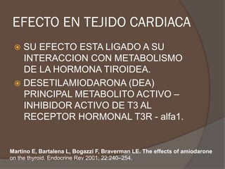 EFECTO EN TEJIDO CARDIACA
ž  SU EFECTO ESTA LIGADO A SU
INTERACCION CON METABOLISMO
DE LA HORMONA TIROIDEA.
ž  DESETILAMIODARONA (DEA)
PRINCIPAL METABOLITO ACTIVO –
INHIBIDOR ACTIVO DE T3 AL
RECEPTOR HORMONAL T3R - alfa1.
Martino E, Bartalena L, Bogazzi F, Braverman LE. The effects of amiodarone
on the thyroid. Endocrine Rev 2001; 22:240–254.
 