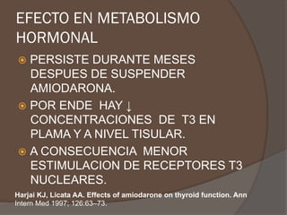 EFECTO EN METABOLISMO
HORMONAL
ž  PERSISTE DURANTE MESES
DESPUES DE SUSPENDER
AMIODARONA.
ž  POR ENDE HAY ↓
CONCENTRACIONES DE T3 EN
PLAMA Y A NIVEL TISULAR.
ž  A CONSECUENCIA MENOR
ESTIMULACION DE RECEPTORES T3
NUCLEARES.
Harjai KJ, Licata AA. Effects of amiodarone on thyroid function. Ann
Intern Med 1997; 126:63–73.
 