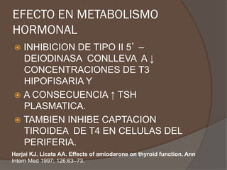 EFECTO EN METABOLISMO
HORMONAL
ž  INHIBICION DE TIPO II 5’ –
DEIODINASA CONLLEVA A ↓
CONCENTRACIONES DE T3
HIPOFISARIA Y
ž  A CONSECUENCIA ↑ TSH
PLASMATICA.
ž  TAMBIEN INHIBE CAPTACION
TIROIDEA DE T4 EN CELULAS DEL
PERIFERIA.
Harjai KJ, Licata AA. Effects of amiodarone on thyroid function. Ann
Intern Med 1997; 126:63–73.
 