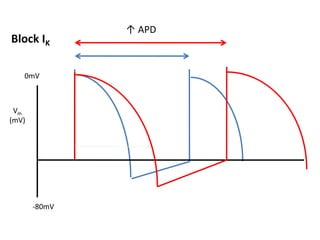 Vm
(mV)
-80mV
0mV
↑ APD
Block IK
 