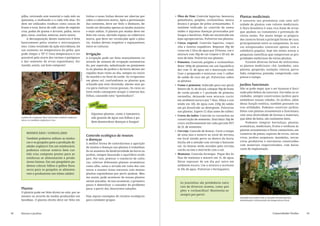 pilha, revirando este material a cada mês ou                         linhas e essas linhas devem ser abertas por      •	 Óleo de Nim: Controla lagartas, besouros,      Plantas medicinais
     quinzena, e molhando-o a cada três dias. Po-                         sobre a cobertura morta. Após a germinação          gafanhotos, pulgões, cochonilhas, mosca        A natureza nos presenteou com uma infi-
     dem ser utilizados resíduos como cascas de                           das sementes, deve ser feito o desbaste, de-        branca e pragas de grãos armazenados. É        nidade de plantas com valores medicinais.
     frutas e ovos, borra de café, restos de vegetais                     vendo ser deixadas apenas as mudas maiores          também indicado no controle de nema-           A flora brasileira é uma rica fonte de ervas
     crus, podas de grama e árvores, palha, serra-                        e mais sadias. O plantio por mudas deve ser         tóides e algumas doenças provocadas por        que ajudam no tratamento e prevenção de
     gem, ossos, conchas, estercos, entre outros.                         feito em covas, abrindo espaço na cobertura         fungos e bactérias. Pode ser encontrado em     vários males. Por muito tempo os prepara-
         A decomposição destes materiais é feita                          morta, que deve ser recolocada após o plan-         lojas agropecuárias. Pulverize nas plantas;    dos caseiros foram a principal forma de cura,
     basicamente pelos insetos e microorganis-                            tio. Ambos devem respeitar o espaçamento         •	 Cinza vegetal: Controla lagartas, vaqui-       principalmente entre os camponeses. Se nos-
     mos. Como resultado da ação microbiana, há                           entre as culturas.                                  nha e insetos sugadores. Repouse 10g de        sos antepassados contavam apenas com a
     um aumento na temperatura da pilha, que                                                                                  cinza em 1 litro de água por 24 horas, coe e   sabedoria popular, hoje nós temos acesso a
     pode chegar a 70º C! Essa temperatura é res-                         Irrigação                                           misture com 10g de cal virgem e 20 mL de       pesquisas científicas que comprovam as pro-
     ponsável pela morte dos vermes e patógenos                           A irrigação pode ser feita manualmente ou           soro de leite. Pulverize nas plantas;          priedades medicinais de várias plantas.
     e das sementes de ervas espontâneas, for-                            através de sistema de irrigação automatiza-      •	 Pimenta: Controla pulgões e cochonilhas.           Existem diversas formas de utilizarmos
     mando, assim, um bom composto!                                       do, por aspersão, nebulização ou gotejamen-         Bater 100g de pimentas em um liquidifica-      as plantas medicinais: chá, lambedor, cata-
                                                                          to.As plantas do jardim e da horta devem ser        dor com 1L de água até a maceração total.      plasma, gargarejo, inalação, tintura, garra-
                                                                          regadas duas vezes ao dia, sempre no início         Coar o preparado e misturar com 1 colher       fada, compressa, pomada, comprimido, com-

                                                            Suyá Presta
                                                                          da manhã e no final da tarde. Ao irrigarmos         de sabão de coco em pó. Pulverizar sobre       pressa e xampu.
                                                                          em pleno sol, confundimos as plantas que,           as plantas;
                                                                          achando que está chovendo, abrem seus po-        •	 Fumo e pimenta: Indicado para uso geral.       Jardins funcionais
                                                                          ros para realizar trocas gasosas. Os raios so-      Dentro de 1L de álcool, coloque 50g de fumo    Não se pode negar que o ser humano é fasci-
                                                                          lares então conseguem atingir o interior das        de corda picado e 1 punhado de pimenta         nado pela beleza da natureza. Em todas as so-
                                                                          folhas, causando uma “queimadura”.                  vermelha, deixando essa mistura curtir         ciedades, sempre construímos jardins para
                                                                                                                              em ambiente escuro por 7 dias. Dilua o con-    embelezar nossas cidades. Os jardins, além

                                                                             você                                             teúdo em 10L de água com 250g de sabão         dessa função estética, também possuem ou-
                                                                                sabia?                                        em pó dissolvido ou detergente. Pulverize      tras utilidades. Podemos construir jardins
                                                                                                                              nas plantas. Espere 12 dias antes de colher;   feitos com plantas ornamentais e funcionais,
                                                                             Algumas plantas, como o tomateiro,                                                              com uma diversidade de formas e materiais,
                                                                                                                           •	 Cravo da índia: Controla os carunchos na
     A pilha do composto deve intercalar matéria orgânica                    não gostam de água nas folhas e po-                                                             que além de belos, são realmente úteis.
     seca e os resíduos orgânicos crus.                                                                                       conservação de sementes. Distribuir 50g de
                                                                             dem desenvolver doenças e fungos!                cravo uniformemente em cada garrafa PET             Podemos integrar hortaliças, plantas
                                                                                                                              de 2L de sementes;                             aromáticas, medicinais, frutos e verduras às
                                                                                                                           •	 Cerveja: Controle de lesmas. Corte a tampa     plantas ornamentais e flores comestíveis, em
         MINHOCÁRIO / GONGOLÁRIO                                                                                                                                             canteiros de pneus, espirais de ervas, cercas
                                                                          Controle ecológico de insetos                       de uma lata e enterre ao nível do terreno,
         Também podemos utilizar as minho-                                                                                    em local úmido perto ou dentro da horta.       vivas, jardins suspensos, mandalas, cercas
                                                                          e doenças                                                                                          vivas produtivas e estruturas construídas
         cas e os gongolos para a produção de                             A melhor forma de controlarmos a aparição           Encha até a metade com cerveja e bastante
         adubo orgânico! Em um minhocário                                                                                     sal. As lesmas serão atraídas pela cerveja,    com materiais reaproveitados, com baixo
                                                                          de insetos e doenças nas plantas é trabalhan-
                                                                                                                              cairão na lata e morrerão com o sal;           custo de implantação.
         podemos colocar esterco bem cur-                                 do no aumento da biodiversidade da horta ou
         tido e/ou composto pronto para as                                jardim, sempre buscando o equilíbrio ecoló-      •	 Mamona: Controla formigas. Pique dez fo-




                                                                                                                                                                                                                               Suyá Presta
         minhocas se alimentarem e produ-                                 gico. Por isso, praticar o consórcio de cultu-      lhas de mamona e macere em 1L de água.
         zirem húmus. Em um gongolário po-                                ras, cultivar diferentes plantas aromáticas         Deixe repousar de um dia por outro em
         demos colocar folhas e galhos finos                              como alho, salsa e arruda em volta dos can-         ambiente escuro. Coe a mistura e acrescen-
         secos para os gongolos se alimenta-                              teiros e manter áreas naturais com muitas           te 10L de água. Pulverize o formigueiro.
         rem e produzirem um ótimo adubo!                                 plantas espontâneas por perto ajudam. Mes-
                                                                          mo assim, pode acontecer de nossas plantas
                                                                          serem atacadas. Se isso acontecer, o primeiro
                                                                                                                              As joaninhas são predadoras natu-
                                                                          passo é identificar o causador do problema
                                                                                                                              rais de diversos insetos, como pul-
     Plantio                                                              para, a partir daí, buscarmos soluções.
                                                                                                                              gões e cochonilhas! Mantenha-as
     O plantio pode ser feito direto no solo, por se-
                                                                                                                              sempre por perto!
     mentes ou através de mudas produzidas em                             Veja alguns exemplos de receitas ecológicas                                                        Exemplo de jardim com as funções de paisagismo,
     bandejas. O plantio direto deve ser feito em                         para combater pragas:                                                                              alimentação e diminuição da temperatura local.




18   Hortas e jardins                                                                                                                                                                                     Comunidades Verdes                 19
 