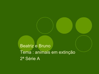 Beatriz e Bruno  Tema : animais em extinção  2ª Série A  