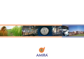 Amira coroporate booklet