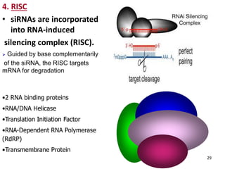 Dna Risc molecular mechanism of viral diseases and biotechnological ...