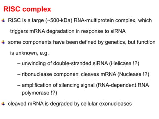 Dna Risc molecular mechanism of viral diseases and biotechnological ...