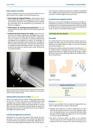 AMIR Traumatologia y Cirugia Ortopedica.pdf