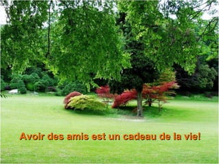 Avoir des amis est un cadeau de la vie!Avoir des amis est un cadeau de la vie!
 