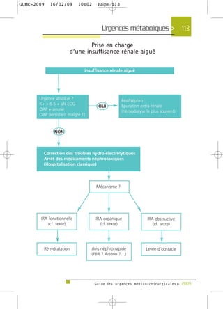 GUMC-2009   16/02/09    10:02       Page 113




                                       Urgences métaboliques > 113

                                Prise en charge
                   d ’ u n e i n s u ff i s a n c e r é n a l e a i g u ë




                                  Guide des urgences médico-chirurgicales f 2009
 