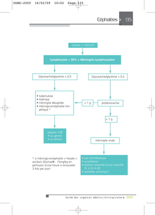 GUMC-2009   16/02/09   10:02    Page 135




                                                    Céphalées > 135




                               Guide des urgences médico-chirurgicales f 2009
 