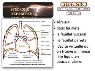 Introduction
Syndrome          3.anatomie de la
d’épanchement          plèvre
gazeux de la
grande cavité   séreuse
pleurale        deux feuillets :
                - le feuillet viscéral
                - le feuillet pariétal
                - Cavité virtuelle où
                  on trouve un mince
                  film liquidien
                  paucicellulaire.
 
