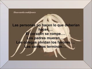Las personas no hacen lo que deberían hacer….  El corazón se rompe….  Los padres mueren….  Los colegas olvidan los favores….  Las carreras terminan….  