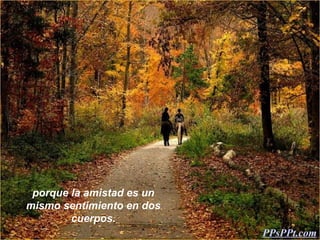porque la amistad es un
mismo sentimiento en dos
        cuerpos.
                           PPsPPt.com
 