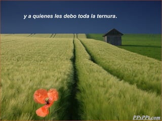 y a quienes les debo toda la ternura.




                                        PPsPPt.com
 