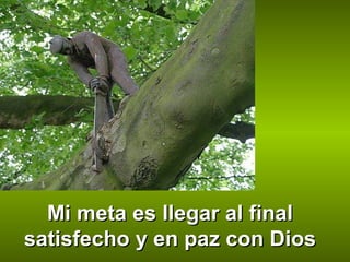 Mi meta es llegar al final
satisfecho y en paz con Dios

 