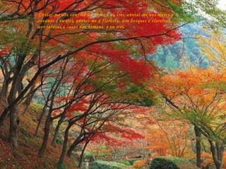 Enviai-me aos confins da Terra  e eu irei,  enviai-me aos mares e oceanos  e eu irei, enviai-me à floresta, aos bosques e clareiras, aos jardins e casa dos homens, e eu irei.  Enviai-me aos confins da Terra e eu irei, enviai-me aos mares e oceanos e eu irei, enviai-me à floresta, aos bosques e clareiras, aos jardins e casas dos homens. e eu irei. 