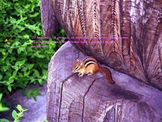 Os humanos. Os animais, os vegetais, os minerais, libertaremos as almas errantes, libertaremos tudo o que está impuro e encadeado. 