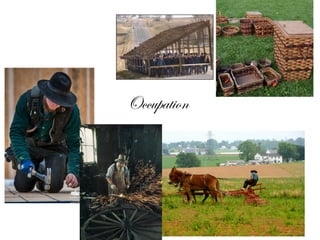 Collage carpenter, smith, farmer, basketmaker, dairy, pigs, house moving,
restaurants .....
Occupation
 