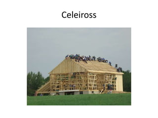 Celeiross
 