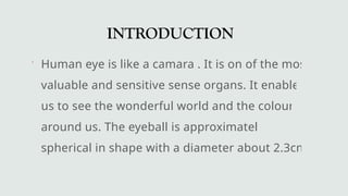 a ppt on human eye and how does it works.pptx