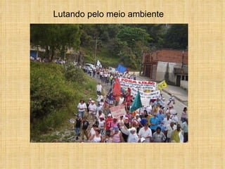 Lutando pelo meio ambiente 