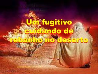 Um fugitivo
cuidando de
rebanho no deserto
 