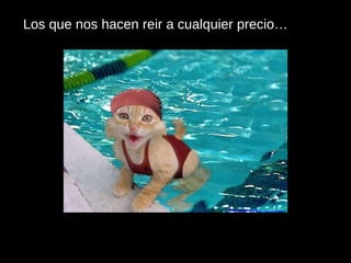 Los que nos hacen reir a cualquier precio… 