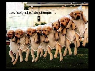 Los “colgados” de siempre… 