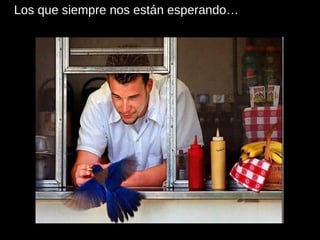 Los que siempre nos están esperando… 