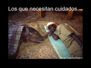 Los que necesitan cuidados…
 