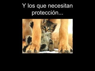 Y los que necesitan
protección...
 