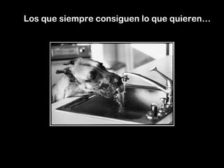 Los que siempre consiguen lo que quieren… 