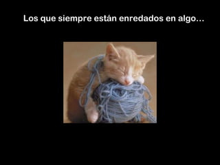 Los que siempre están enredados en algo… 