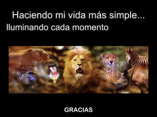 Haciendo mi vida más simple... II lluminando cada momento GRACIAS 