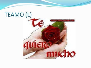 TEAMO (L)
 