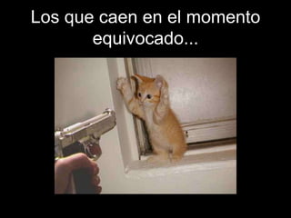 Los que caen en el momento
       equivocado...
 