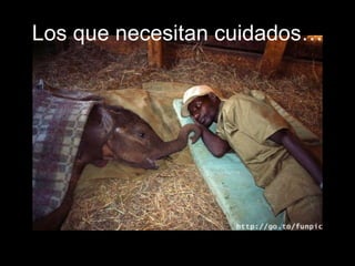 Los que necesitan cuidados… 
