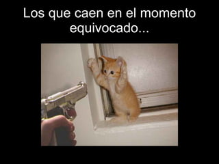 Los que caen en el momento equivocado... 