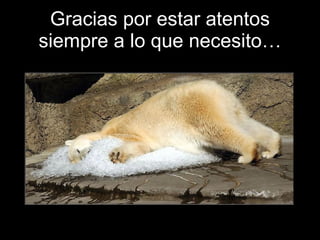 Gracias por estar atentos siempre a lo que necesito… 