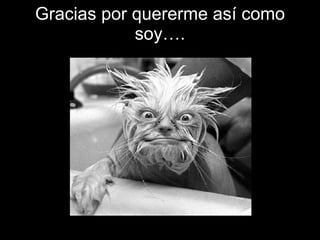 Gracias por quererme así como soy…. 