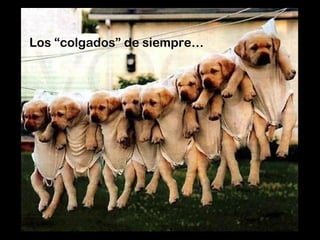 Los “colgados” de siempre…
 
