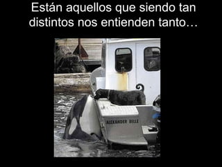 Están aquellos que siendo tan
distintos nos entienden tanto…
 