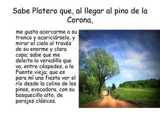 Sabe Platero que, al llegar al pino de la 
Corona, 
me gusta acercarme a su 
tronco y acariciárselo, y 
mirar el cielo al través 
de su enorme y clara 
copa; sabe que me 
deleita la veredilla que 
va, entre céspedes, a la 
Fuente vieja; que es 
para mí una fiesta ver el 
río desde la colina de los 
pinos, evocadora, con su 
bosquecillo alto, de 
parajes clásicos. 
 