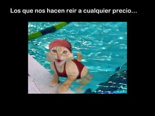 Los que nos hacen reir a cualquier precio…
 