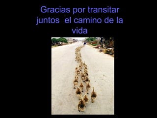 Gracias por transitar juntos  el camino de la vida 