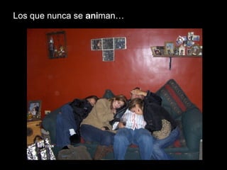 Los que nunca se  ani man… 