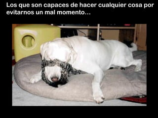 Los que son capaces de hacer cualquier cosa por
evitarnos un mal momento…
 